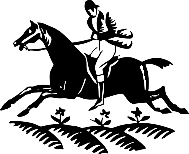 GSX-S1000F - Image 10