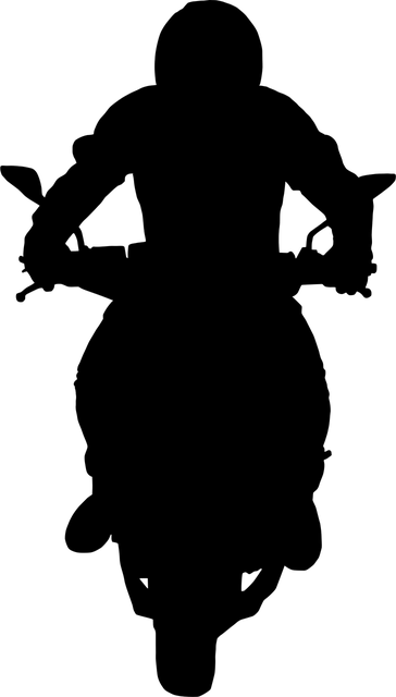 V-Strom 650 2021 - Image 0